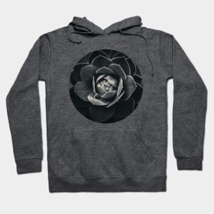 Noir Spurge Plant Photograph Hoodie